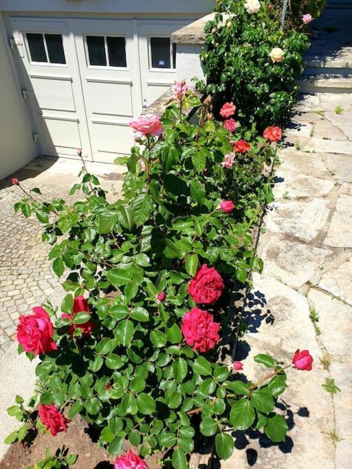 Appartamento Natalies Hideaway Thun Esterno foto